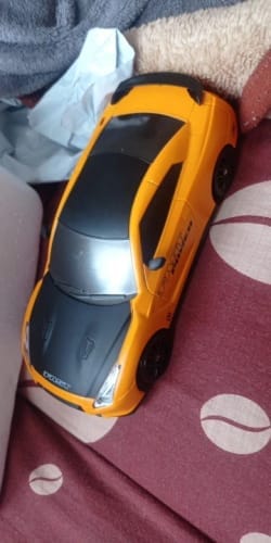Customer photo review of Thrill Speeders™