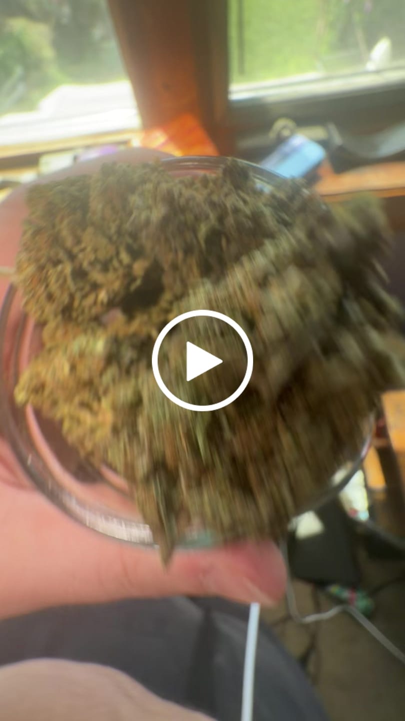 Customer video review of Blackout Berries THCA Flower Ounce (28g)