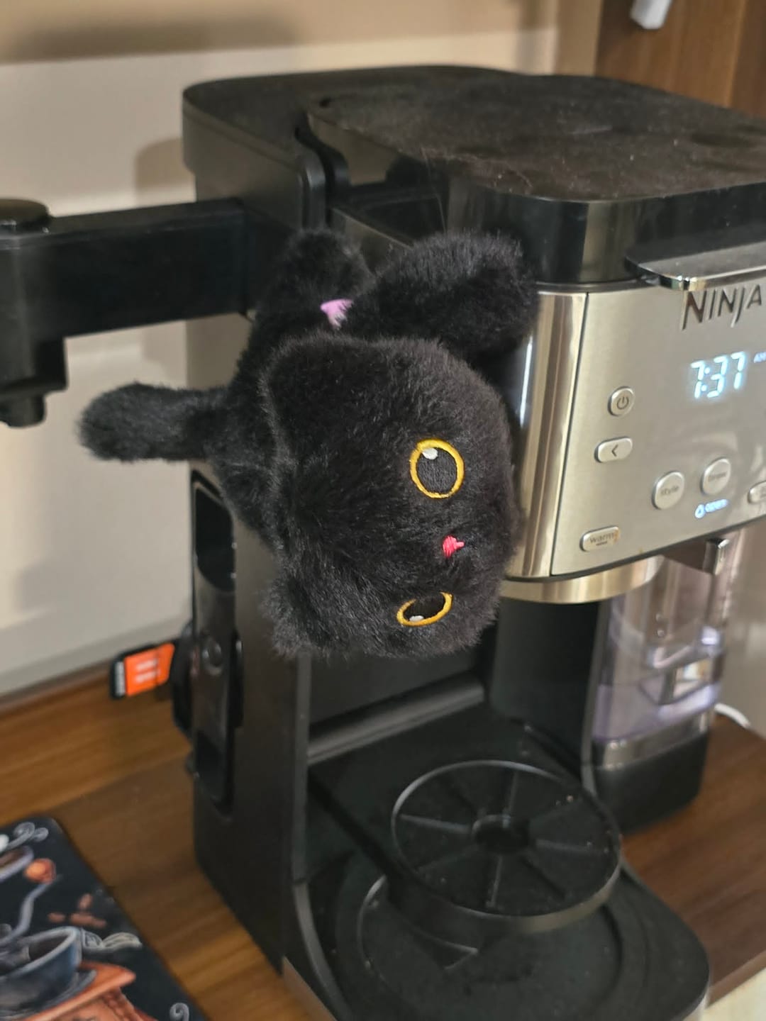 Customer photo review of Peluche Magnético