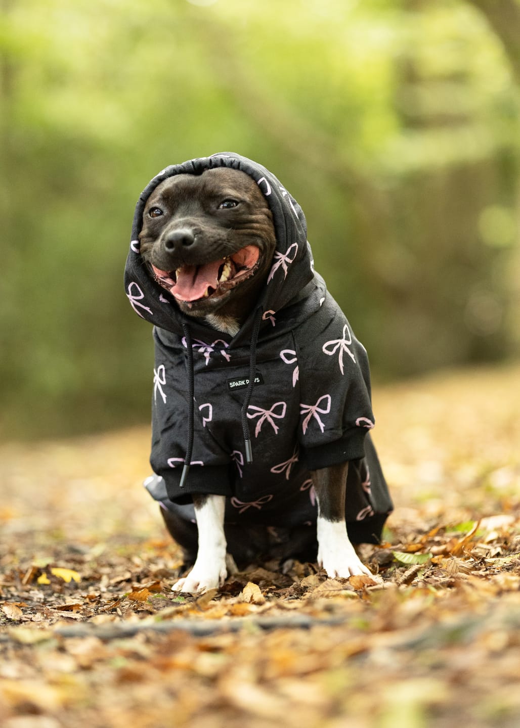 Customer photo review of Coquette Dog Hoodie