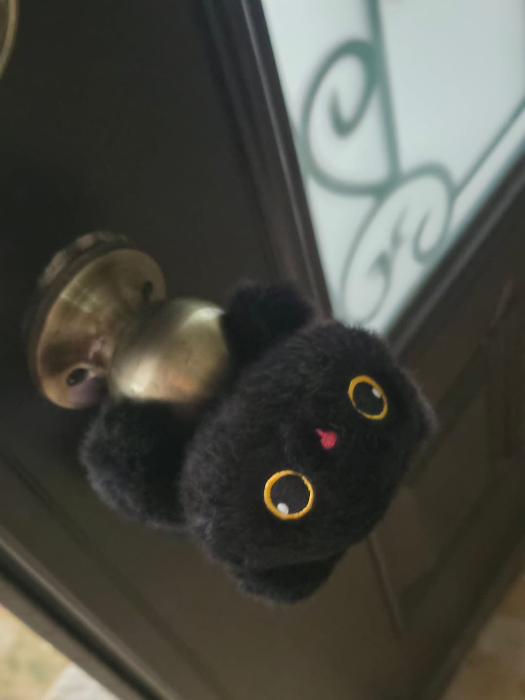 Customer photo review of Peluche Magnético