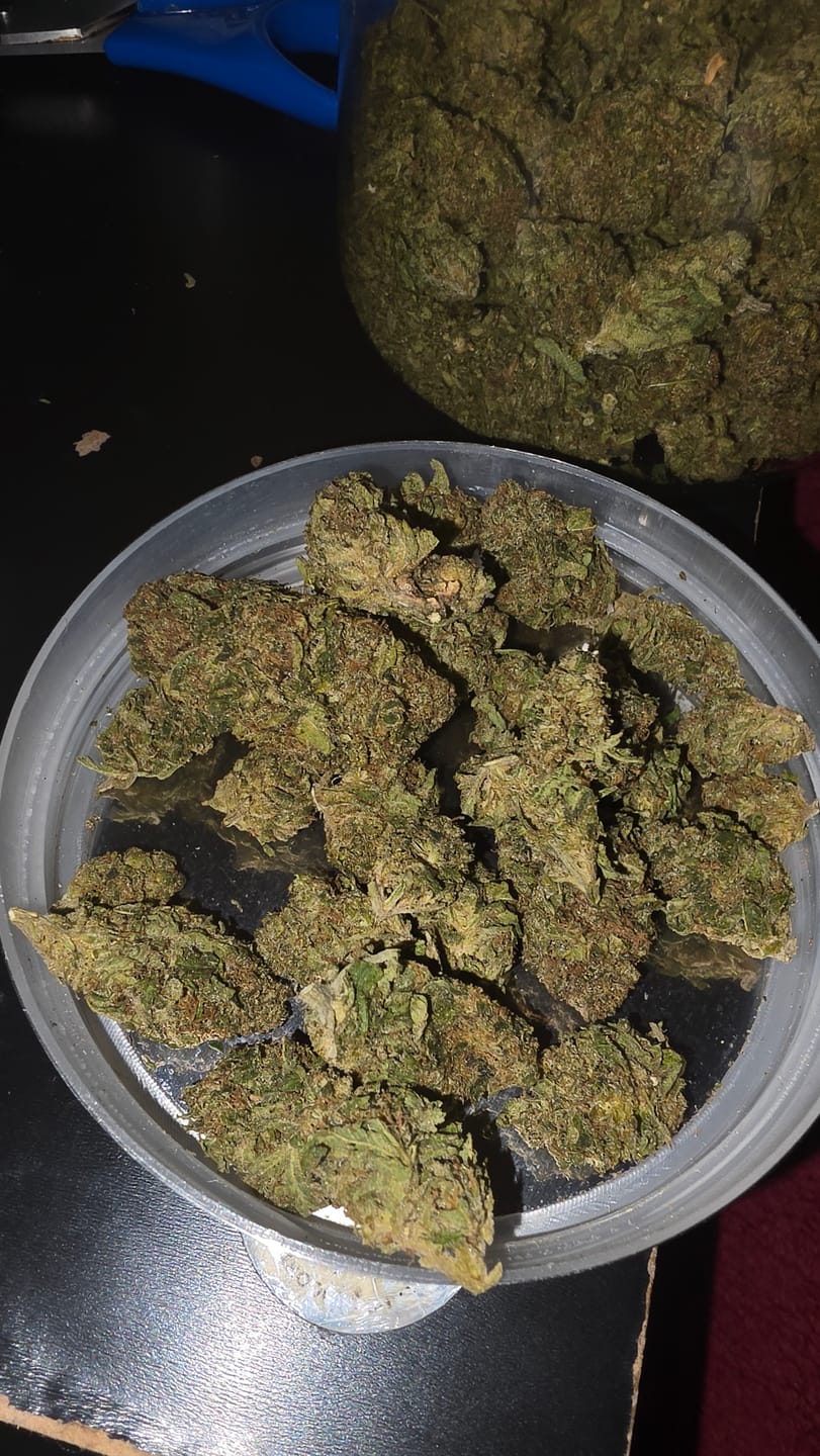 Customer photo review of Candy Gas Light Assist THCA