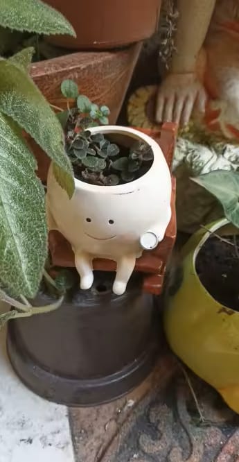 Customer photo review of Infinity™ Plant Pot