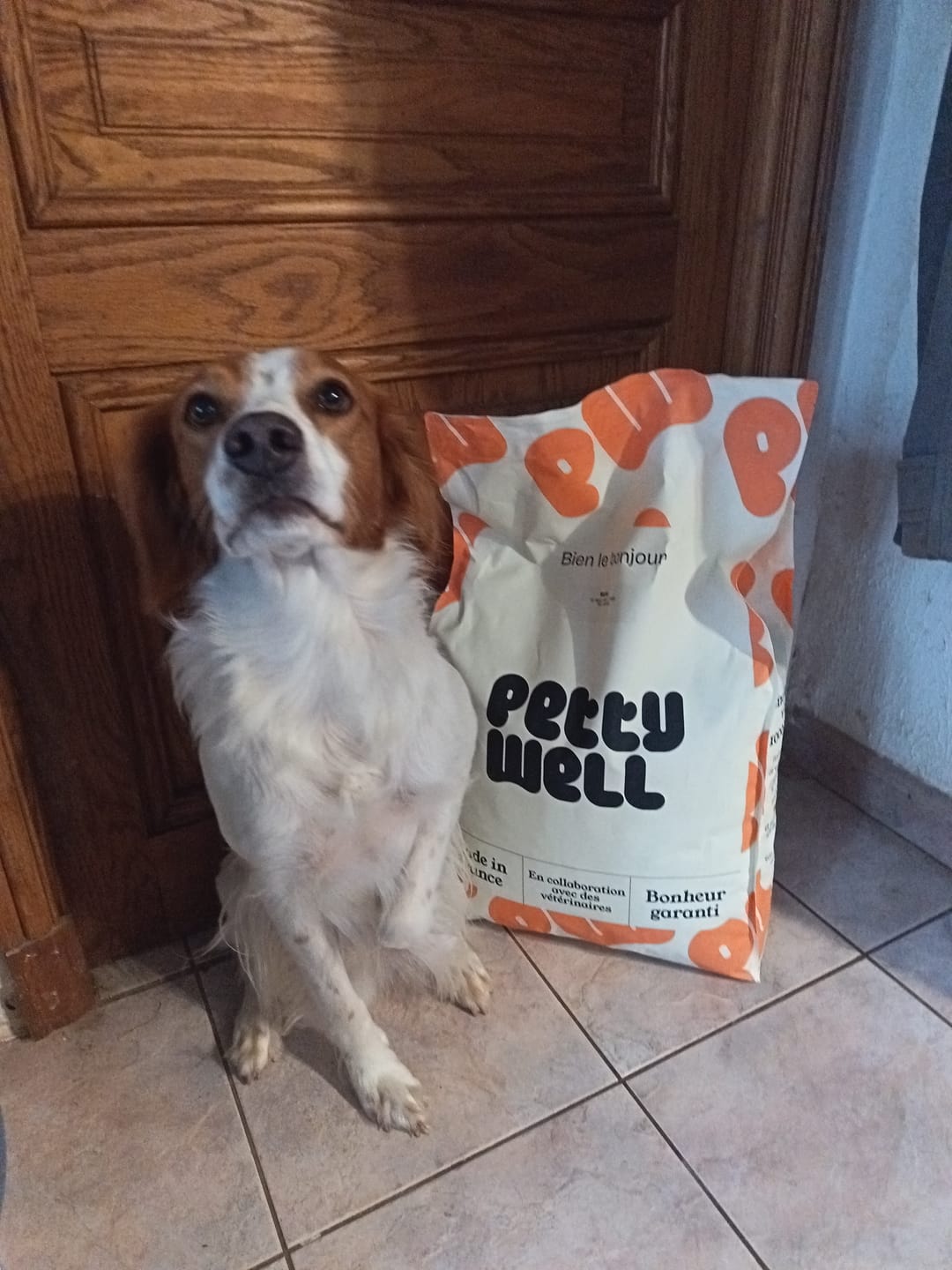 Customer photo review of Croquettes Boeuf pour Chien - 1. 285684 Mig