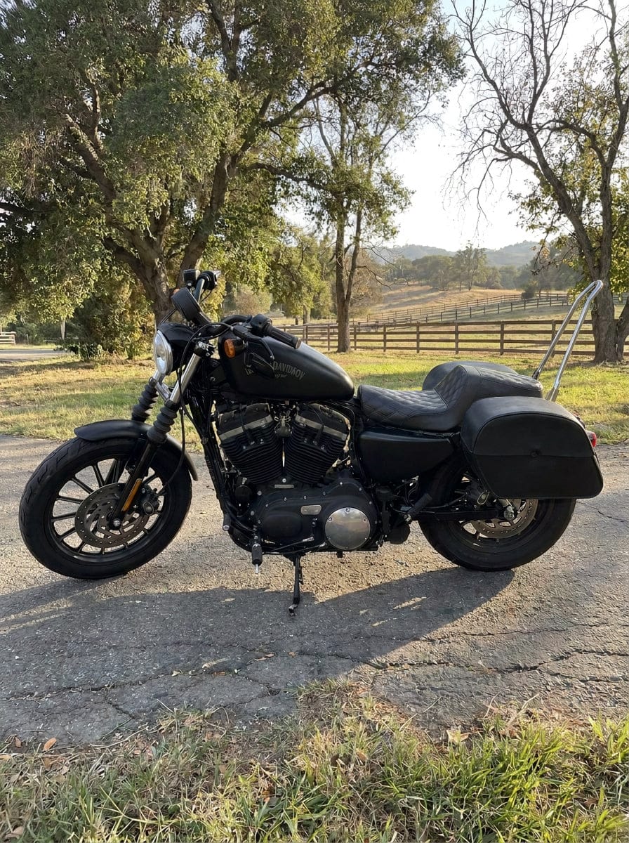 Customer photo review of 32L - Panzer Large Hard Mount Shock Cutout Saddlebags for Harley Sportster 883 Iron XL883N