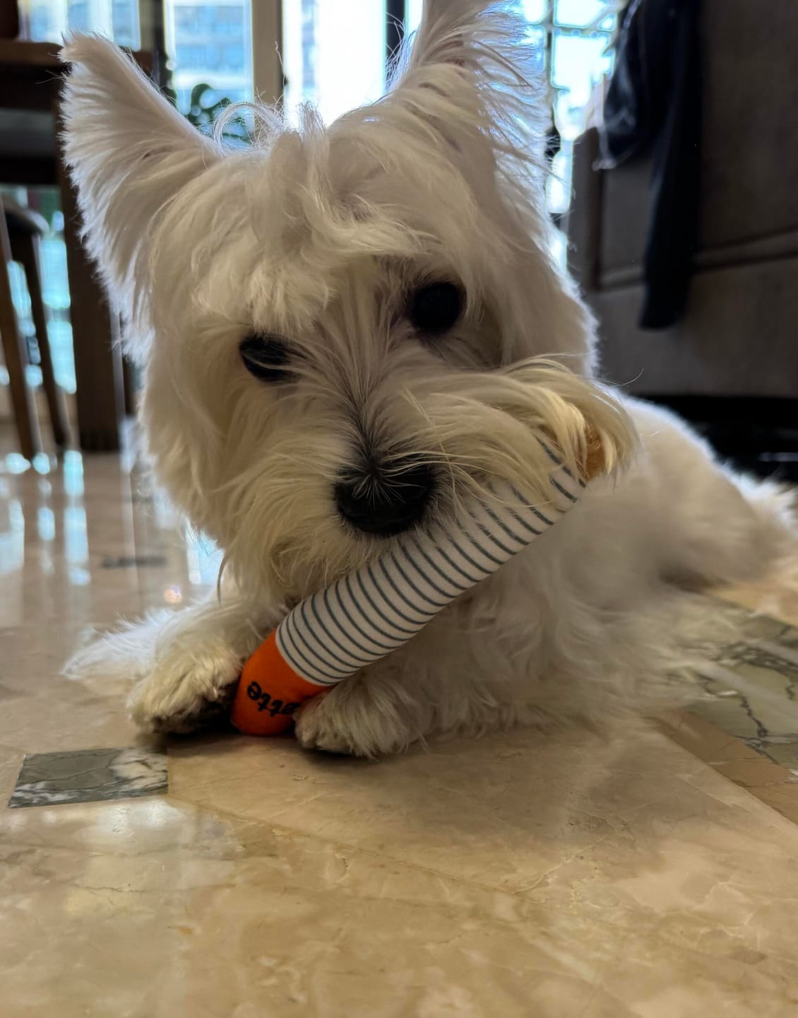Customer photo review of Plush Cigarette Toy Set