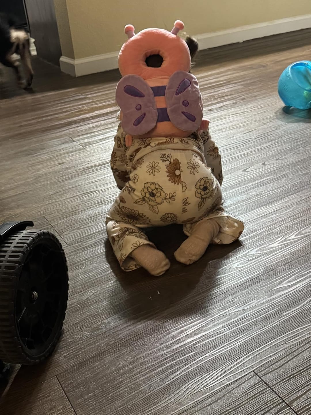 Customer photo review of Ashton TumbleBuddy™