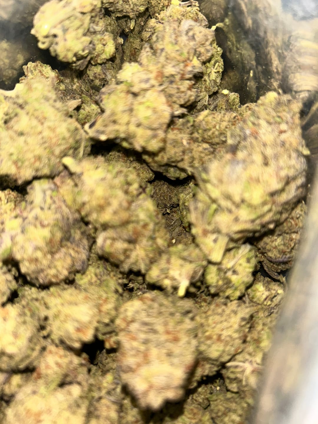 Customer photo review of Hyper Za THCA Flower