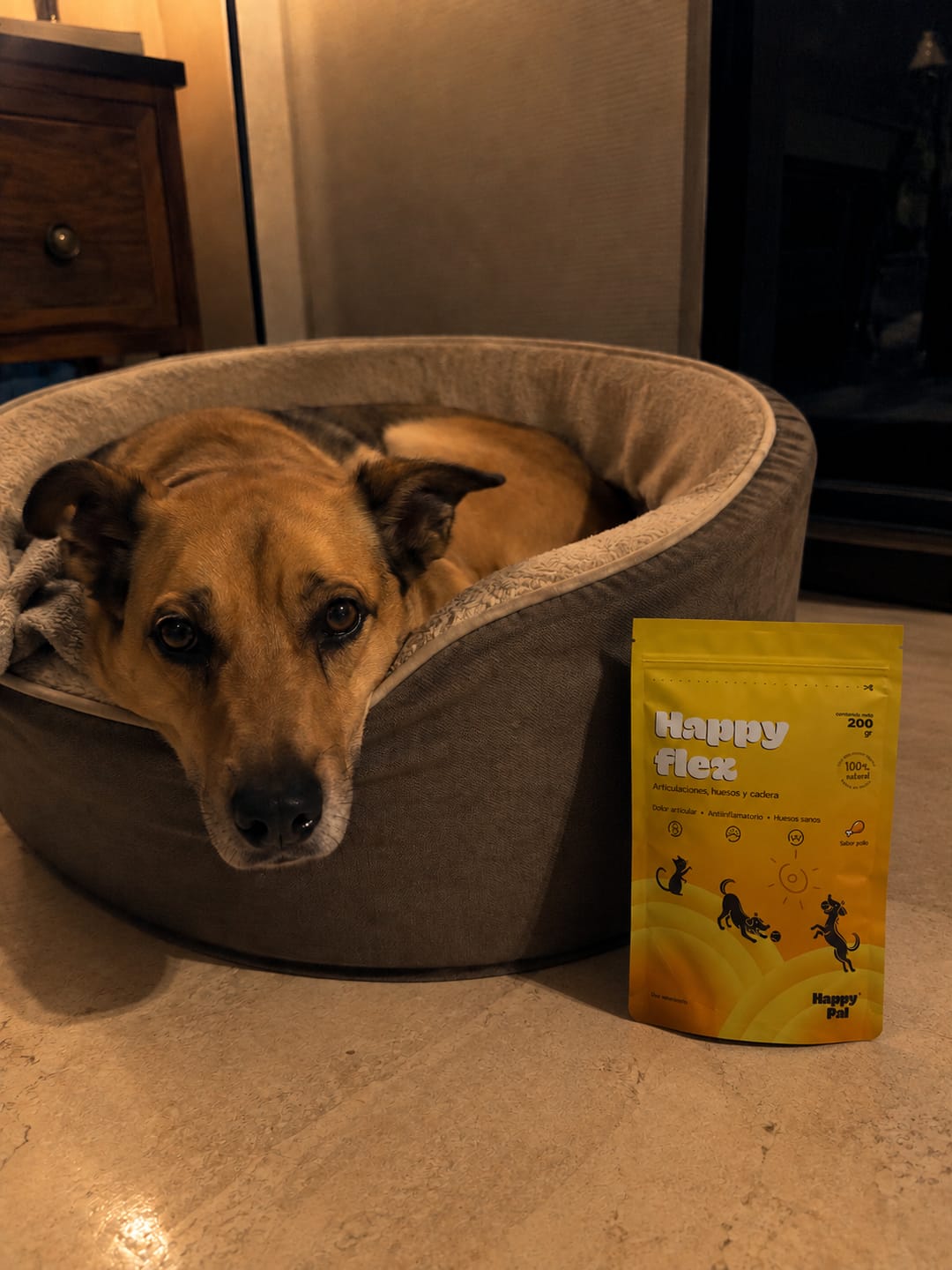 Customer photo review of Happy Pal I Happy Flex I Suplemento Para Articulaciones de Perros y Gatos