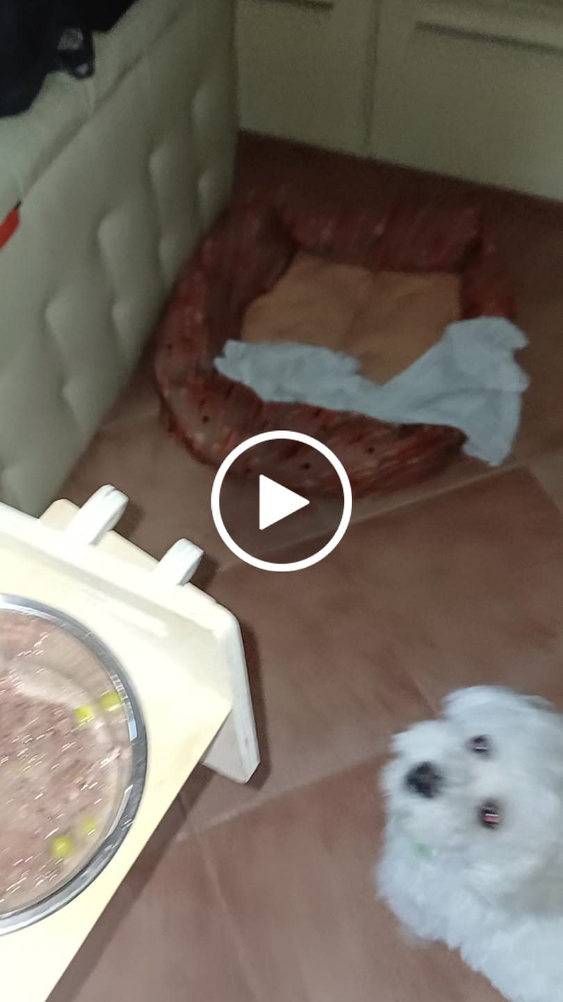Customer video review of My Name is Manzo