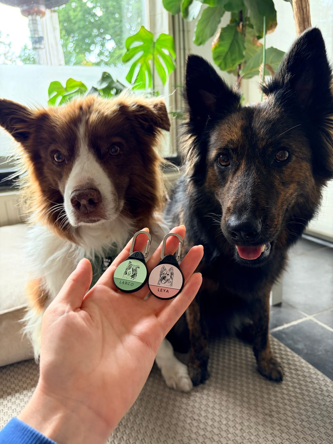 Customer photo review of Custom Portrait - Silent Dog ID Tag
