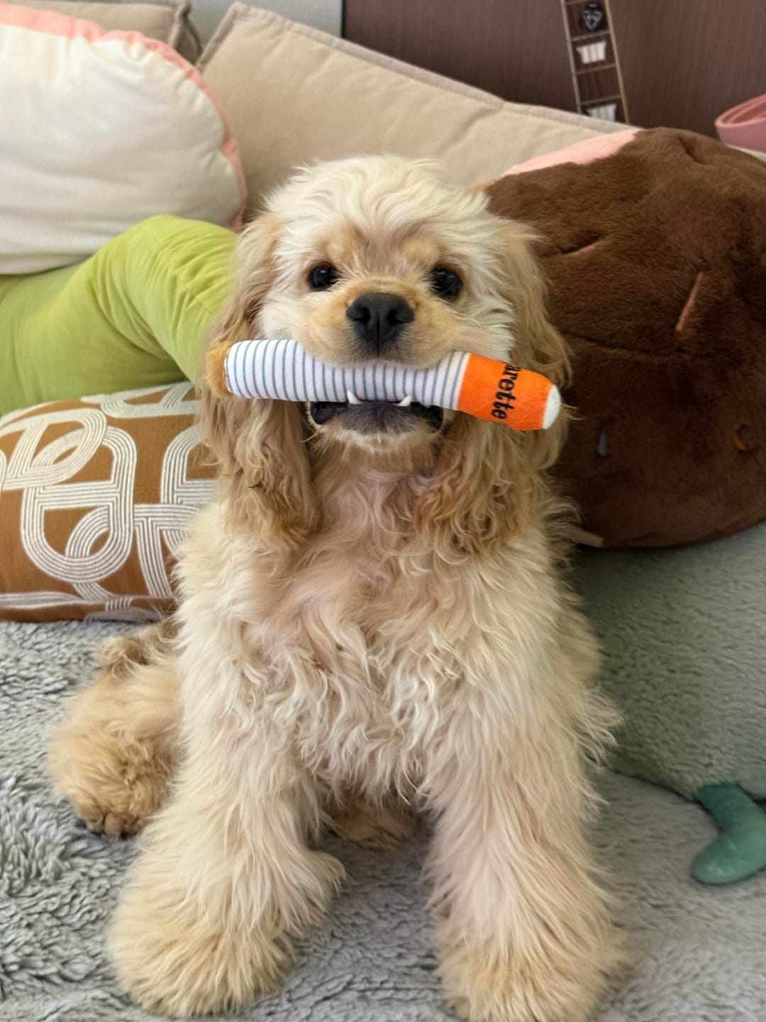 Customer photo review of Plush Cigarette Toy Set