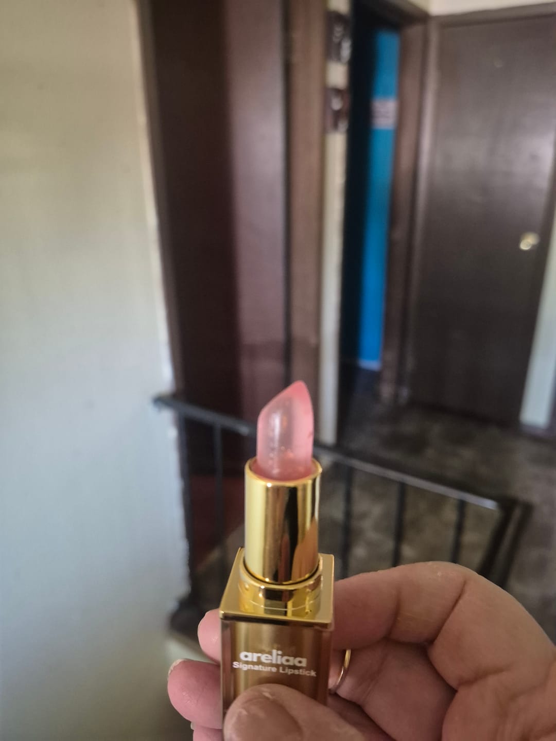 Customer photo review of 3x Areliaa Signature Lipstick (B2G1)
