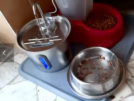 Customer photo review of Fuente de agua inoxidable para gatos