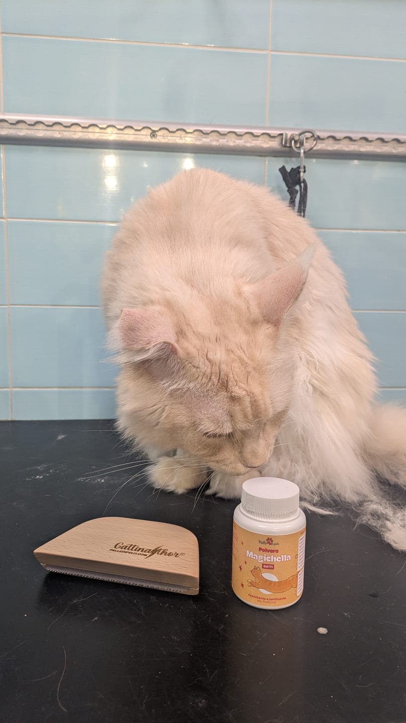Customer photo review of Slanatore Gattinathor® per cani e gatti a pelo corto