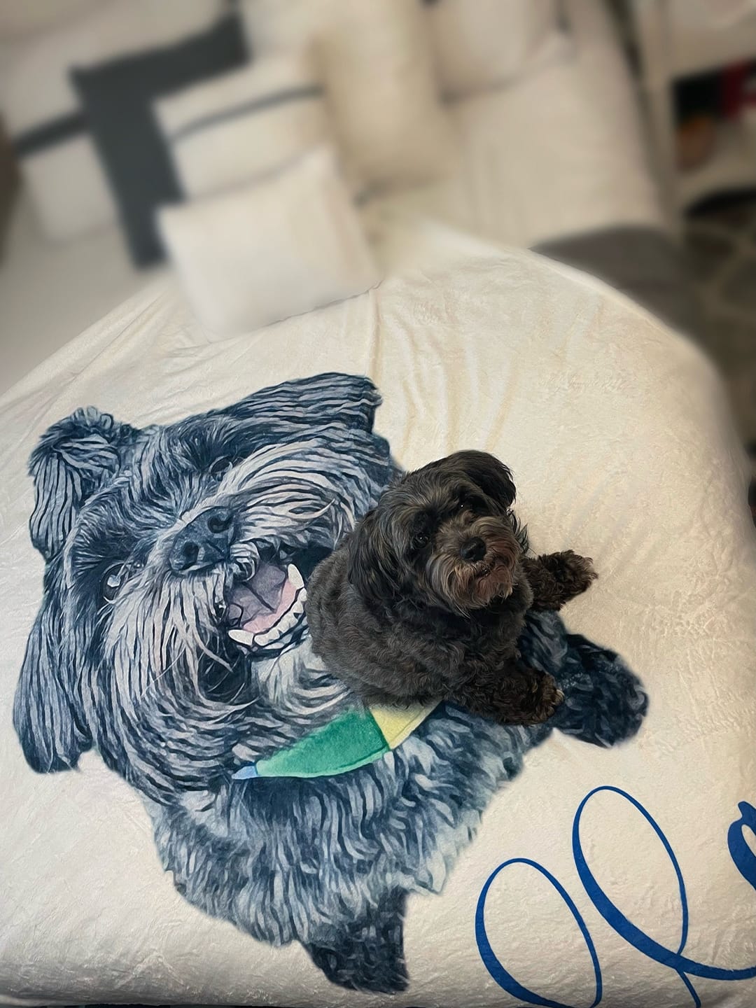 Customer photo review of Custom Pet Portrait Blanket: Personalized Dog or Cat Photo Blanket