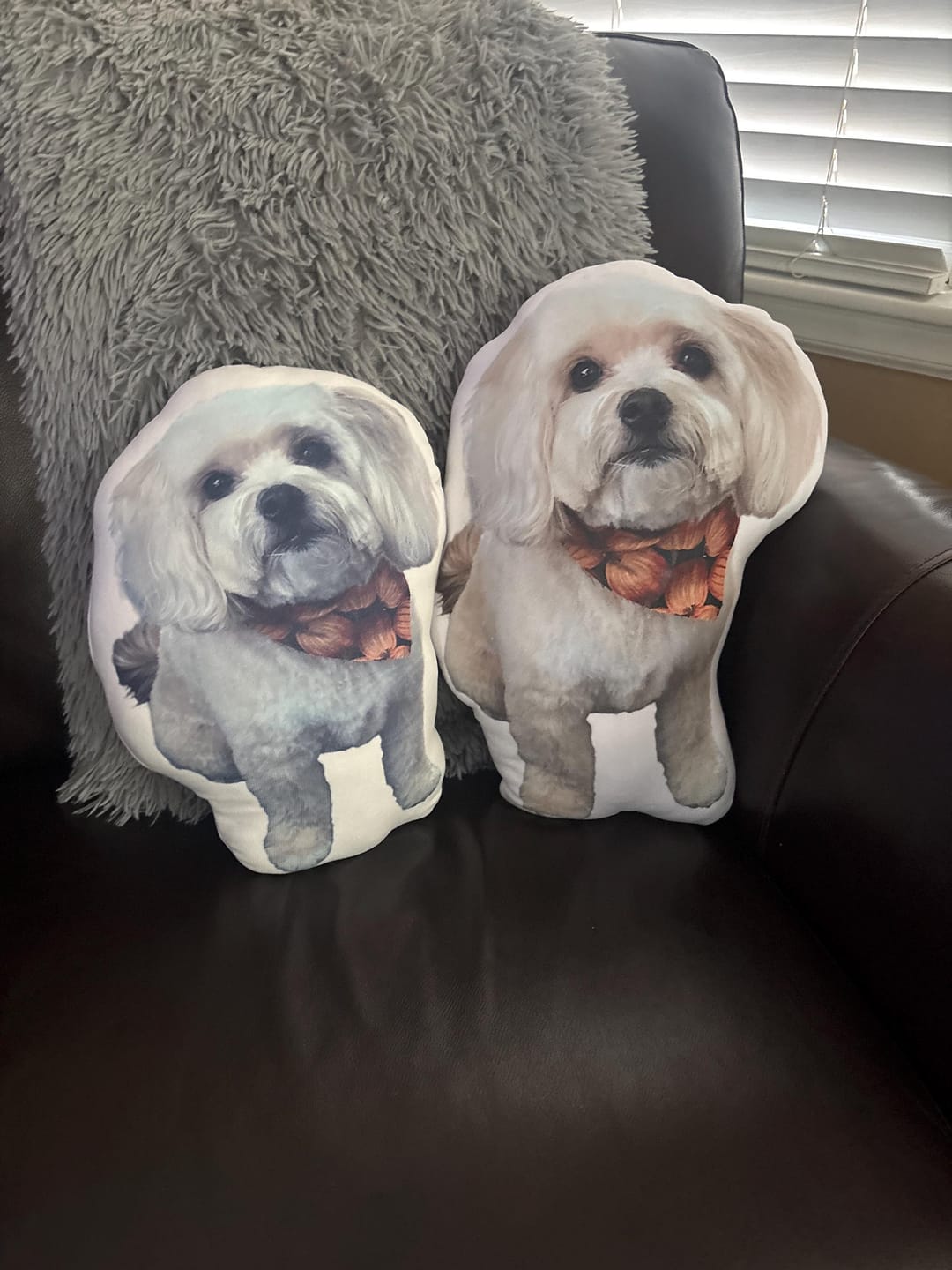 Customer photo review of Custom Pet Pillow, Personalized Dog Cat Photo Cushion, Pet Memorial Gift
