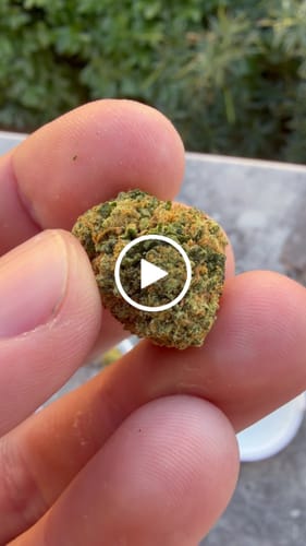 Customer video review of THC-A  29% Flower Permanent Marker