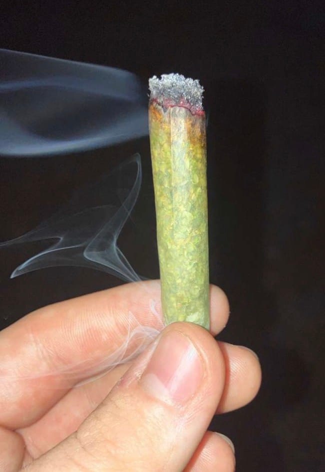 Customer photo review of ZALEAF THC-A INFUSED FLOWER 3.5g BISCOTTI (HYBRID)