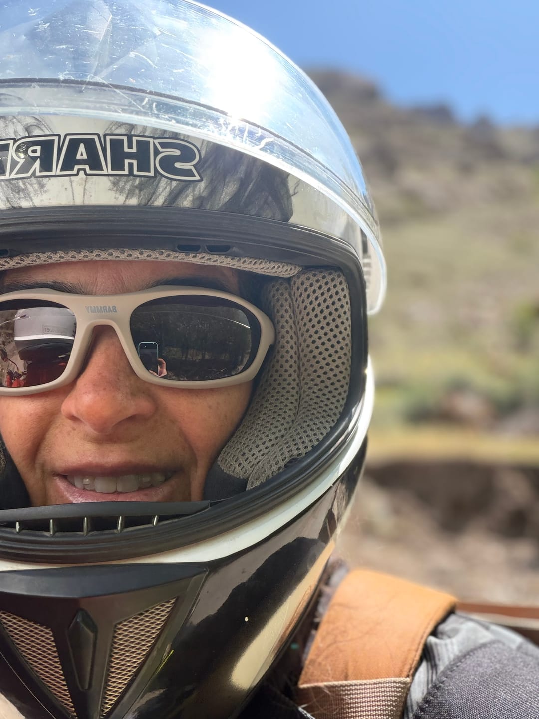 Customer photo review of Dune Brown