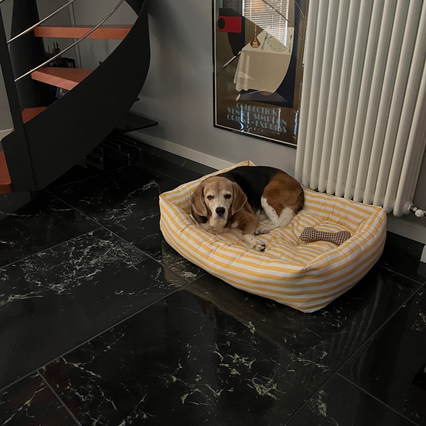 Customer photo review of Divanetto Cotone Righe Grigio