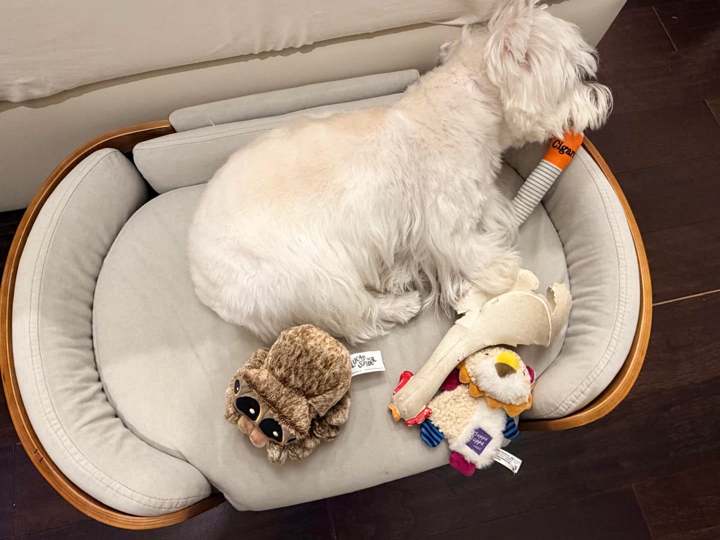 Customer photo review of Plush Cigarette Toy Set