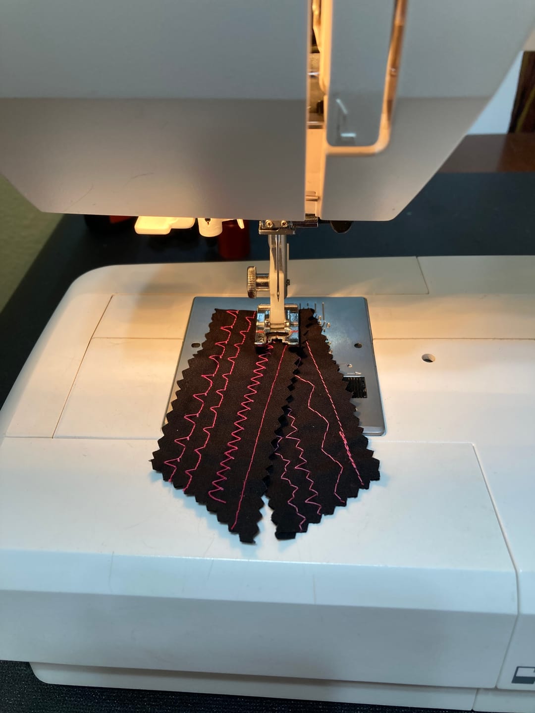 Customer photo review of Cover Plate, Janome #750036012