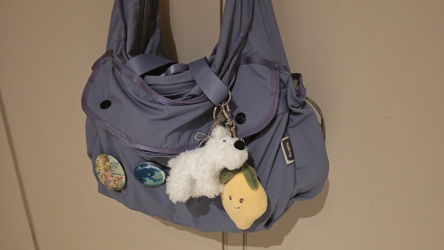 Customer photo review of Bellroy Cinch Carryall, Lilac Haze
