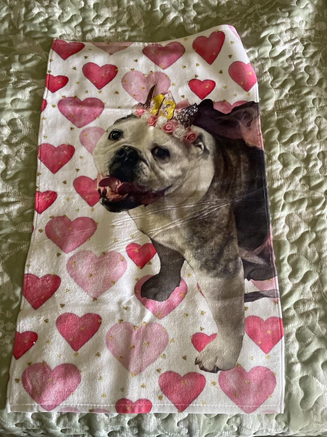Customer photo review of Custom Pet Portrait Beach Towel: Personalized Dog Photo Gift
