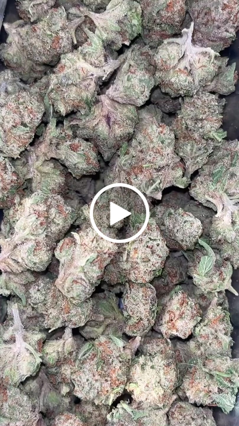 Customer video review of Light Assist THCA Smalls