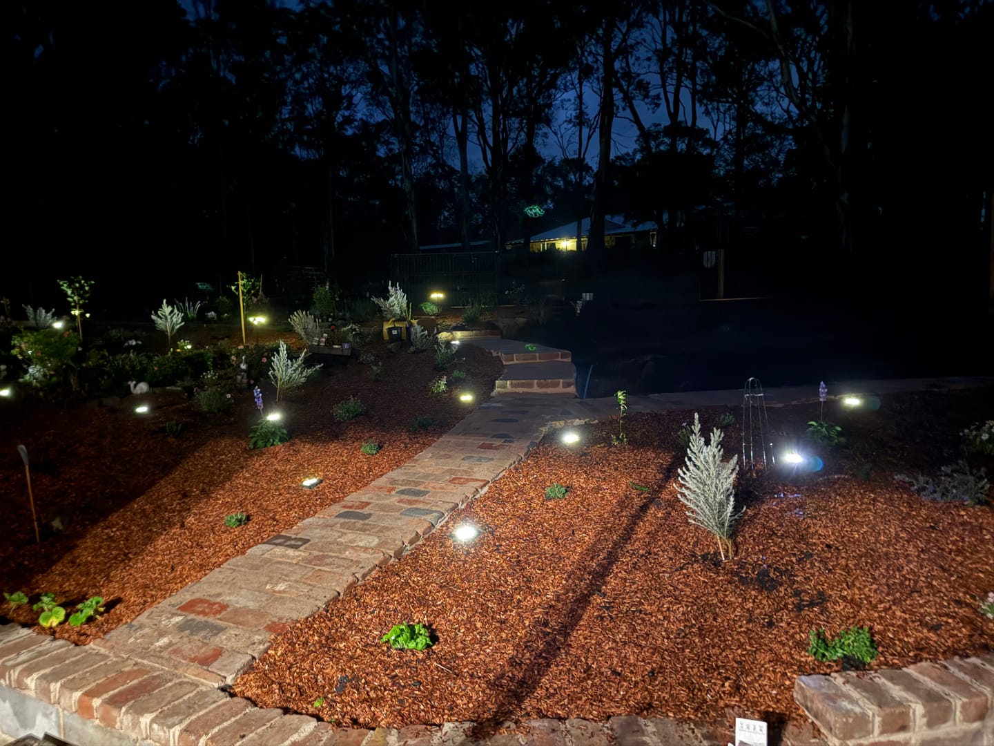 Customer photo review of GardenBrite™ Solar Firefly Lights