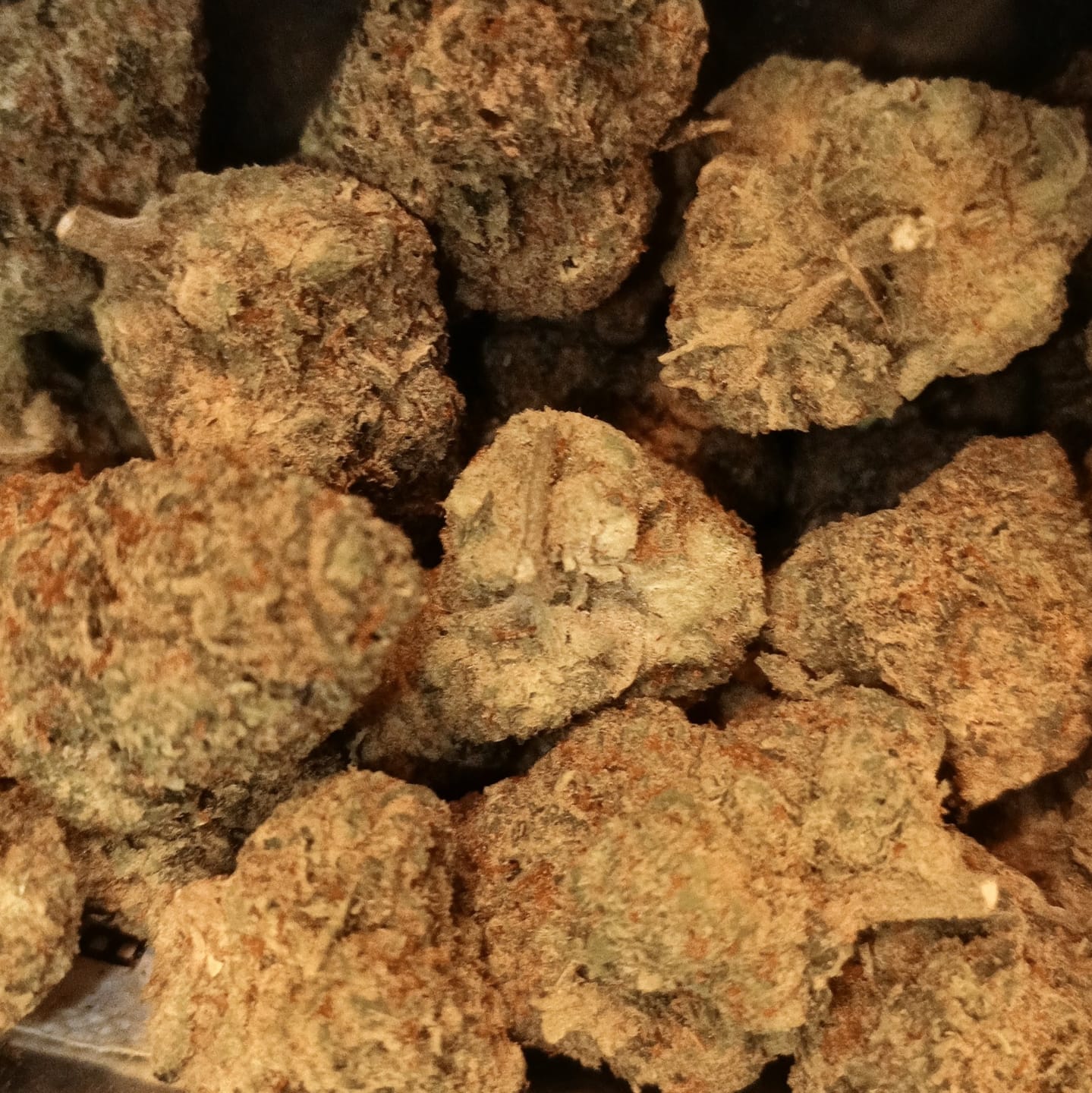 Customer photo review of Cheap Indoor THCA Flower Ounce