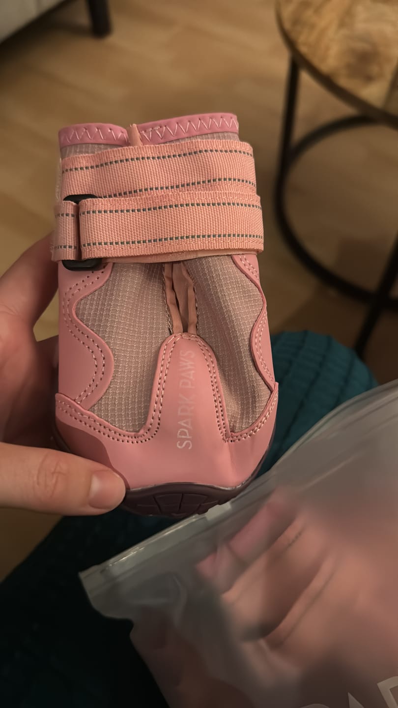 Customer photo review of 365 All-Season Dog Shoe 4PC Set - Pink