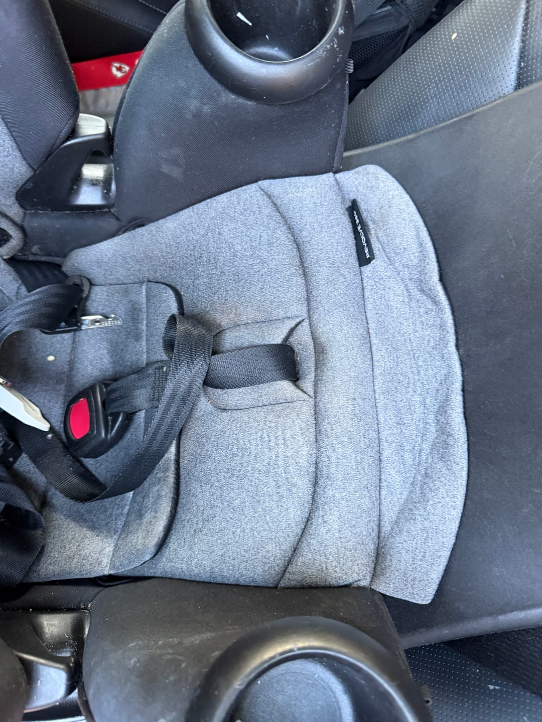 Customer photo review of Green Mitt Starter Kit