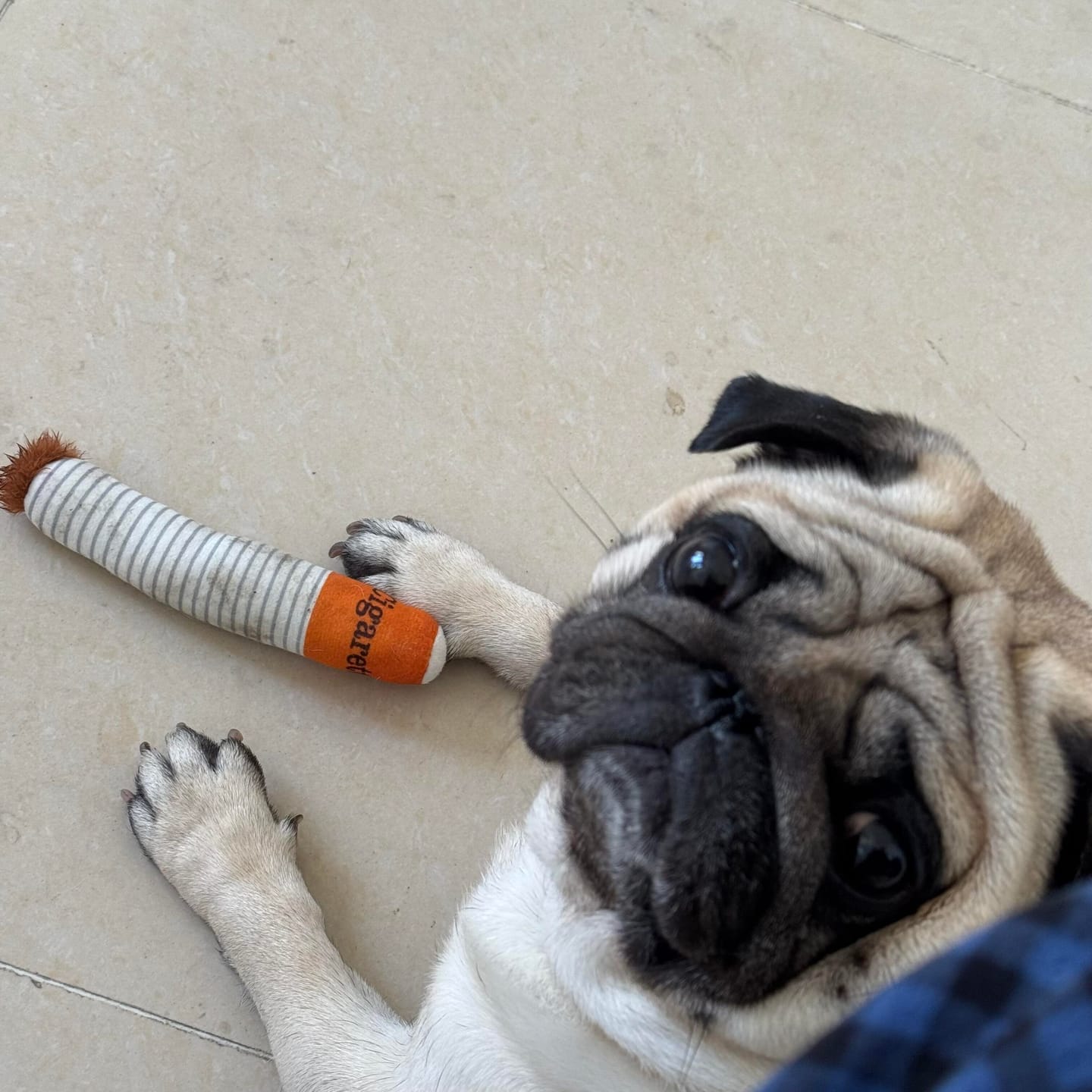 Customer photo review of Plush Cigarette Toy Set