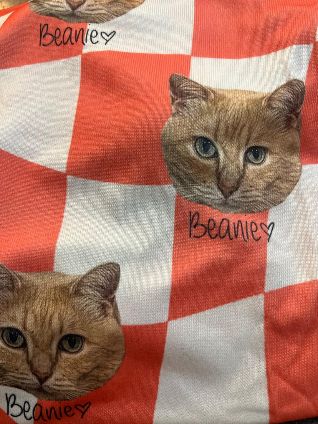 Customer photo review of Custom Pet/Person Portrait Pajama Shorts: Personalized Dog Photo Pants