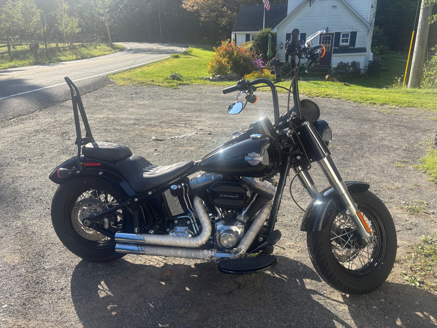 Customer photo review of Iron Born Blade 25" Sissy Bar with Foldable Luggage Rack for Harley Softail Slim FLS Matte Black