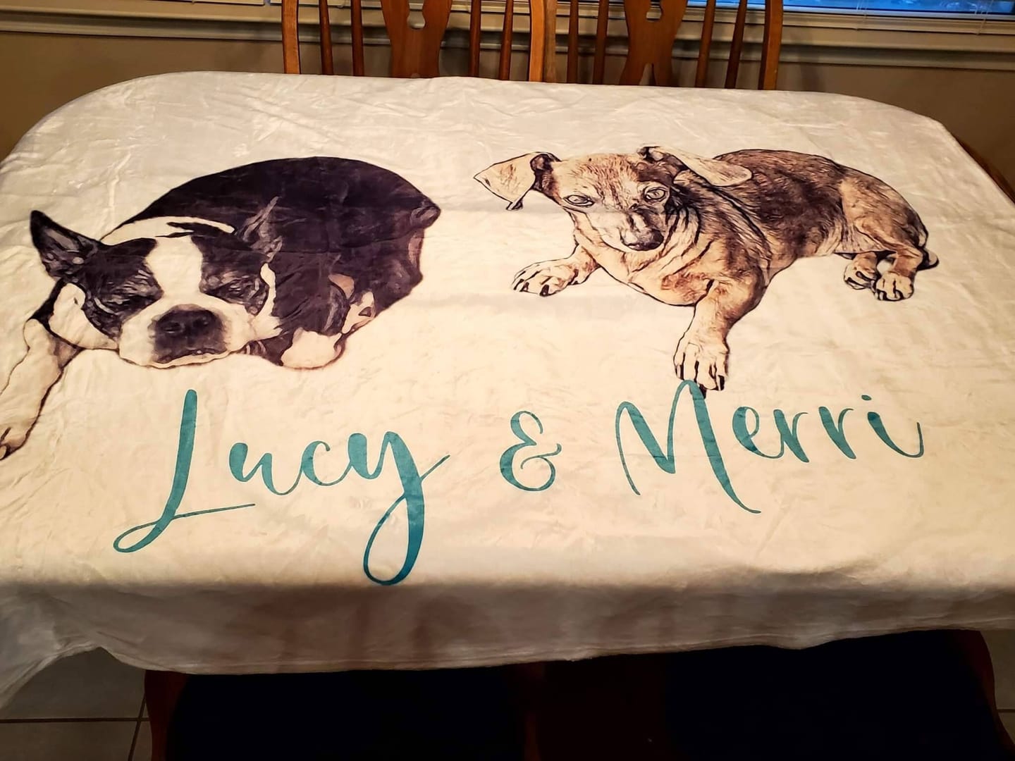 Customer photo review of Custom Pet Portrait Blanket: Personalized Dog or Cat Photo Blanket