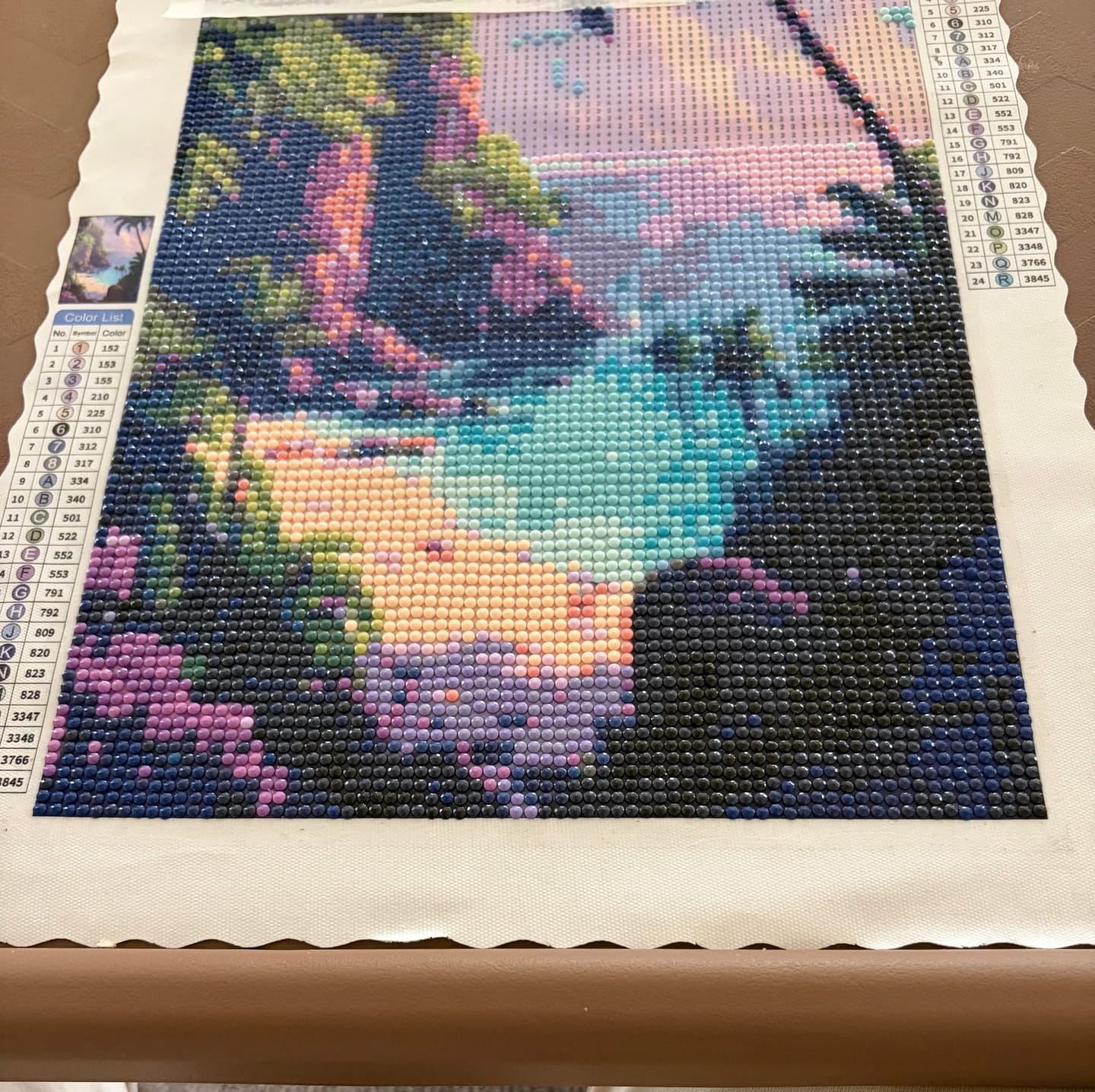 Customer photo review of Sahara Serenity Tropical Oasis (Diamond Painting)