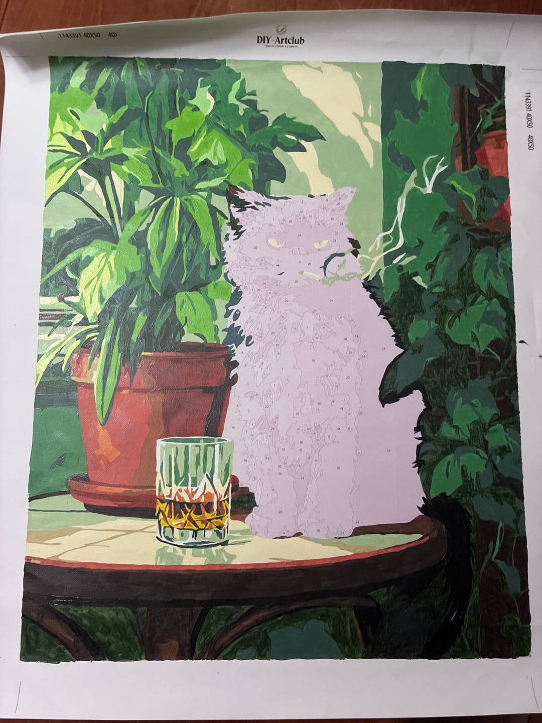 Customer photo review of Grumpy cat | Paint by Number