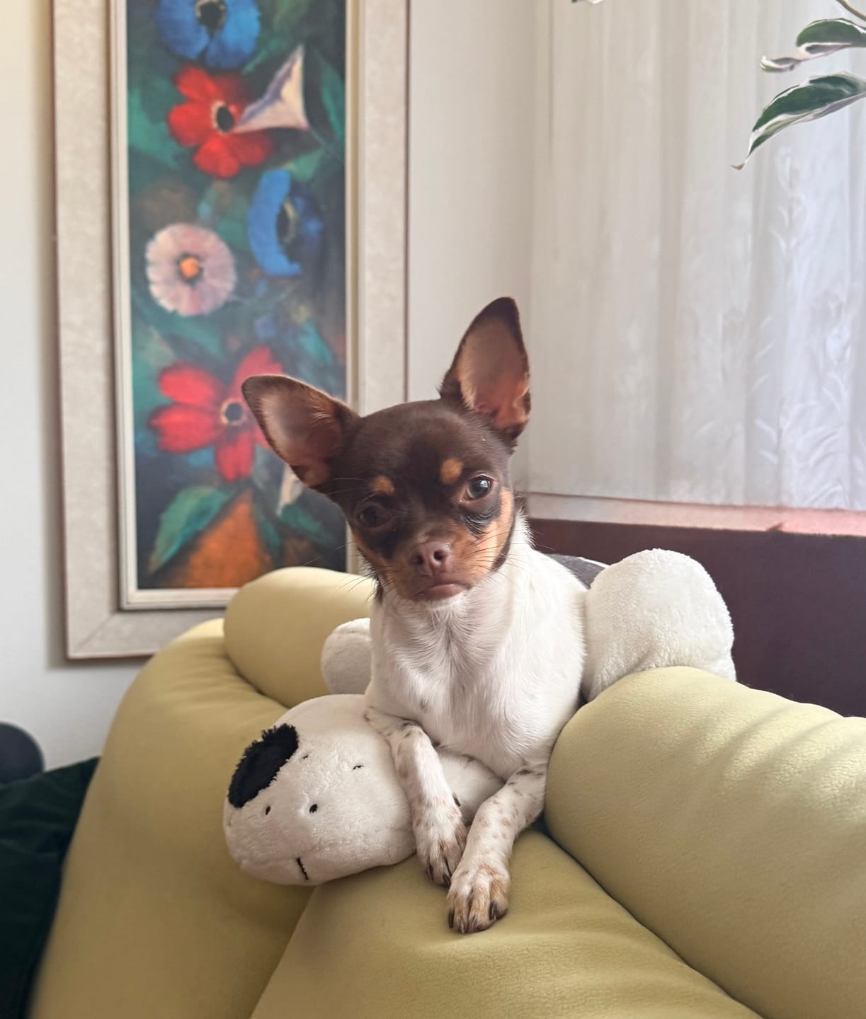 Customer photo review of DNA Test Rassebestimmung Pro Hund