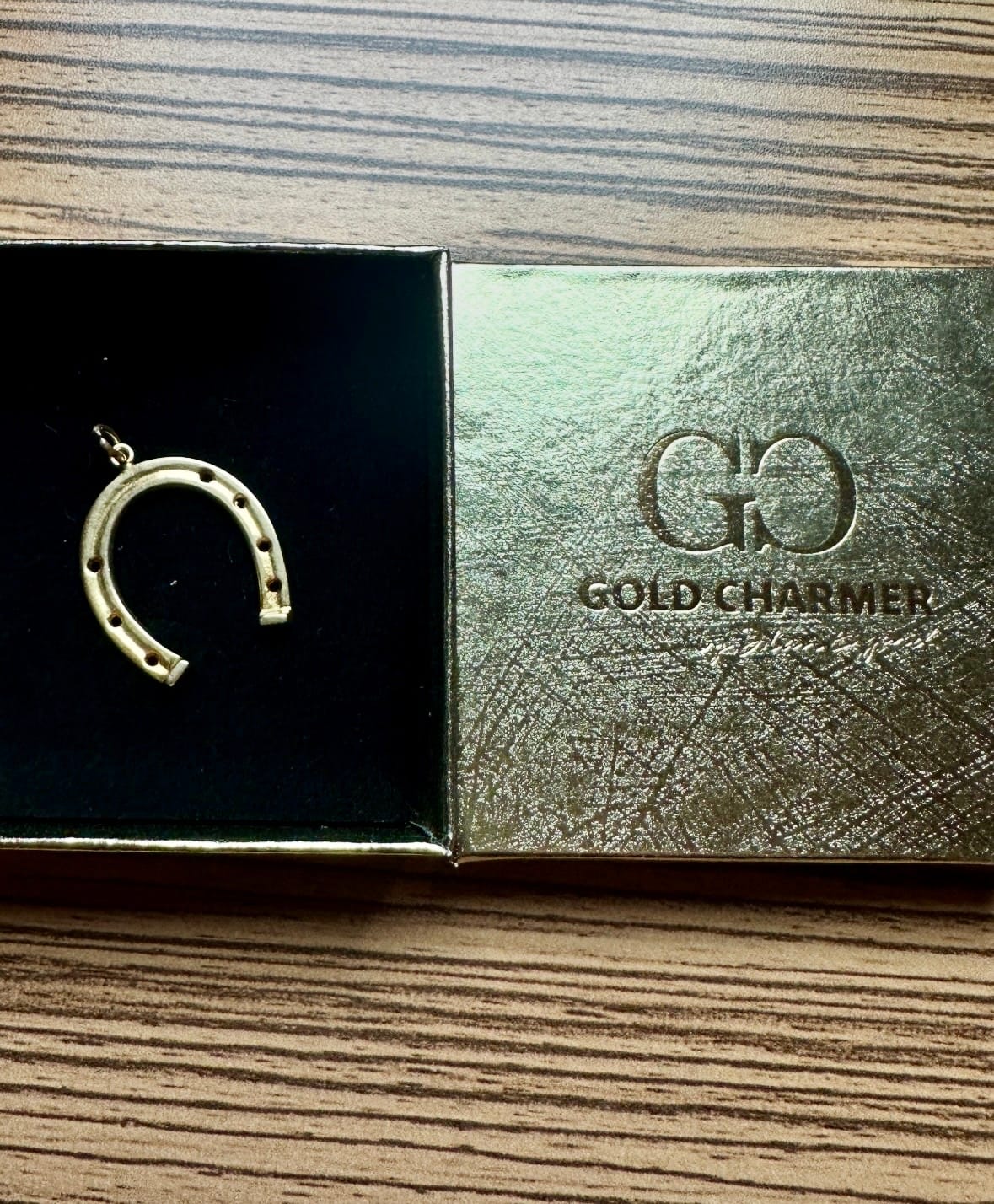 Customer photo review of horseshoe