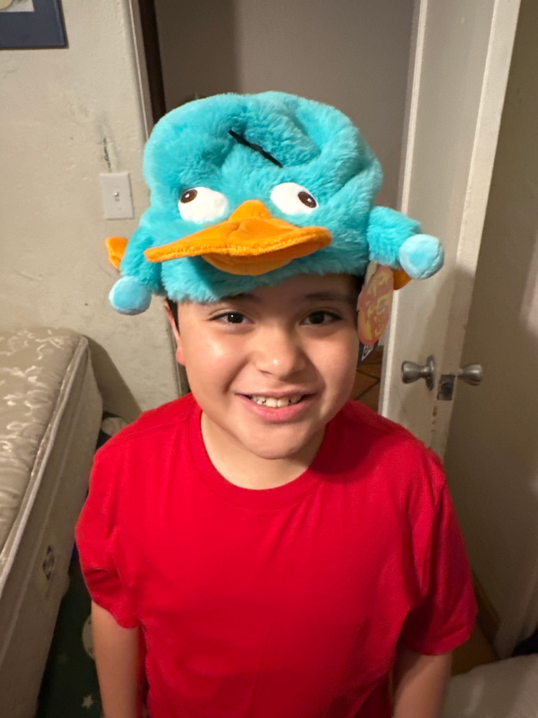 Customer photo review of Disney’s Phineas and Ferb "Perry the Platypus" – Plush Hat