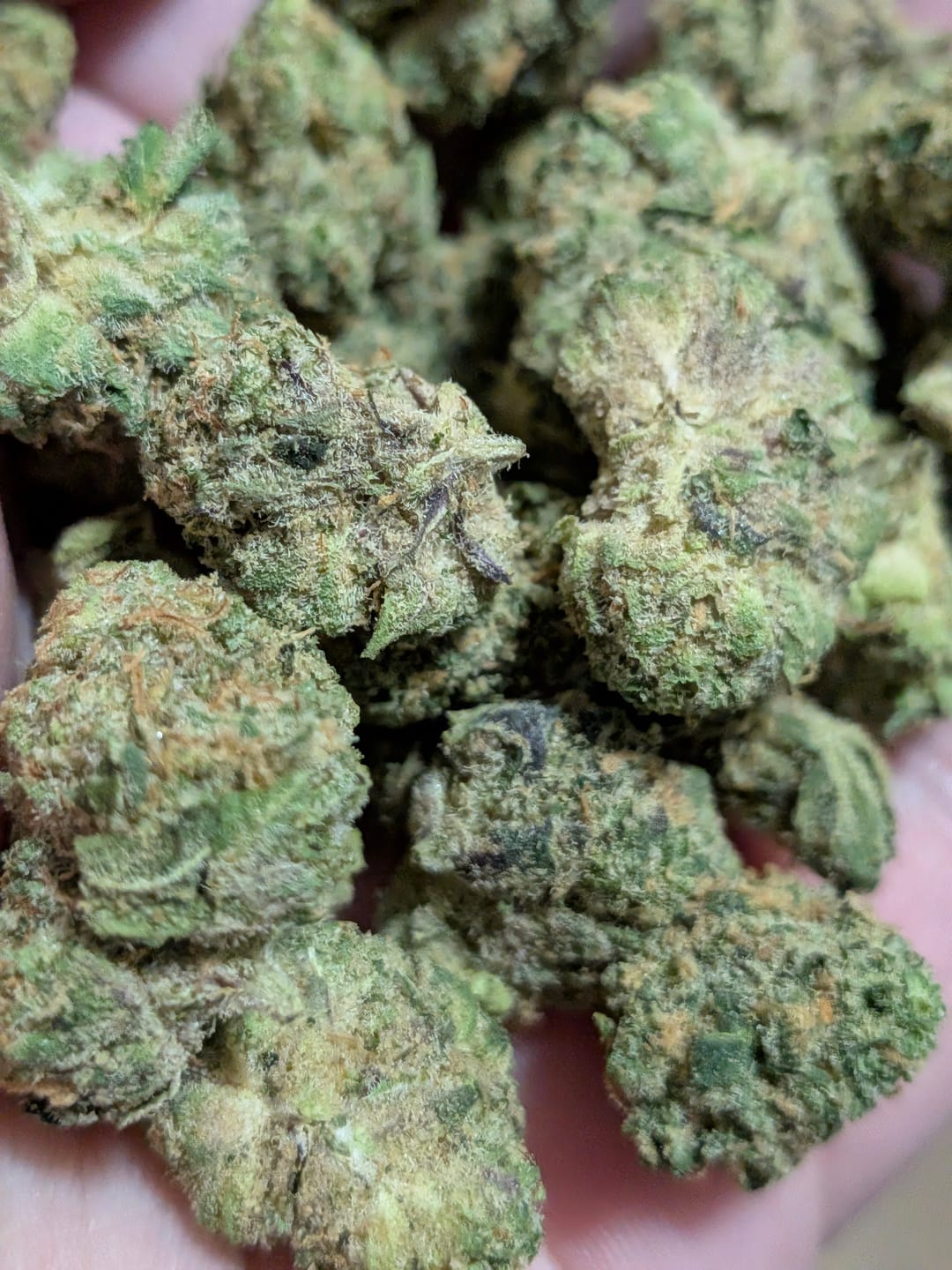 Customer photo review of Hey Sweet Stuff Bundle - 3 Half oz THCA (Budget)