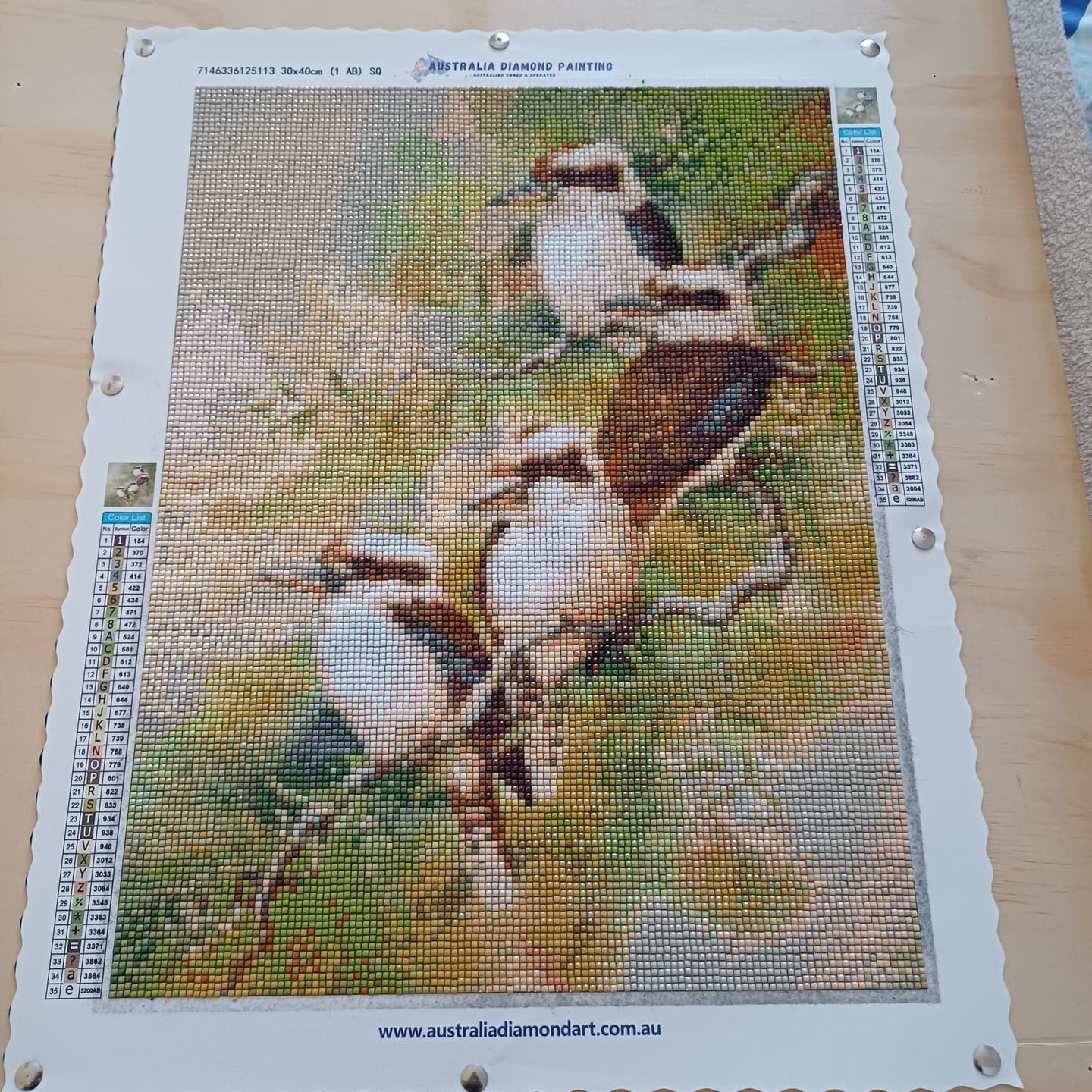 Customer photo review of Kookas - Full Drill Diamond Painting