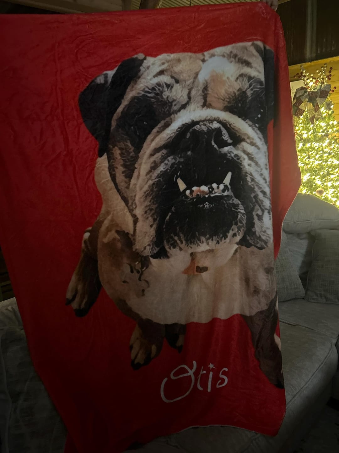 Customer photo review of Custom Logo Blanket: Personalized Corporate Gift, Company Branding