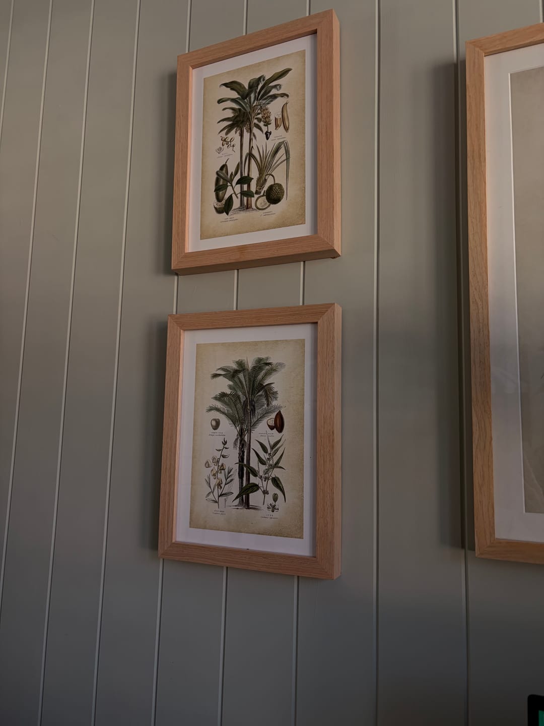 Customer photo review of Hamptons Palm I & II Art Print Set of 2 | Matching Wall Art