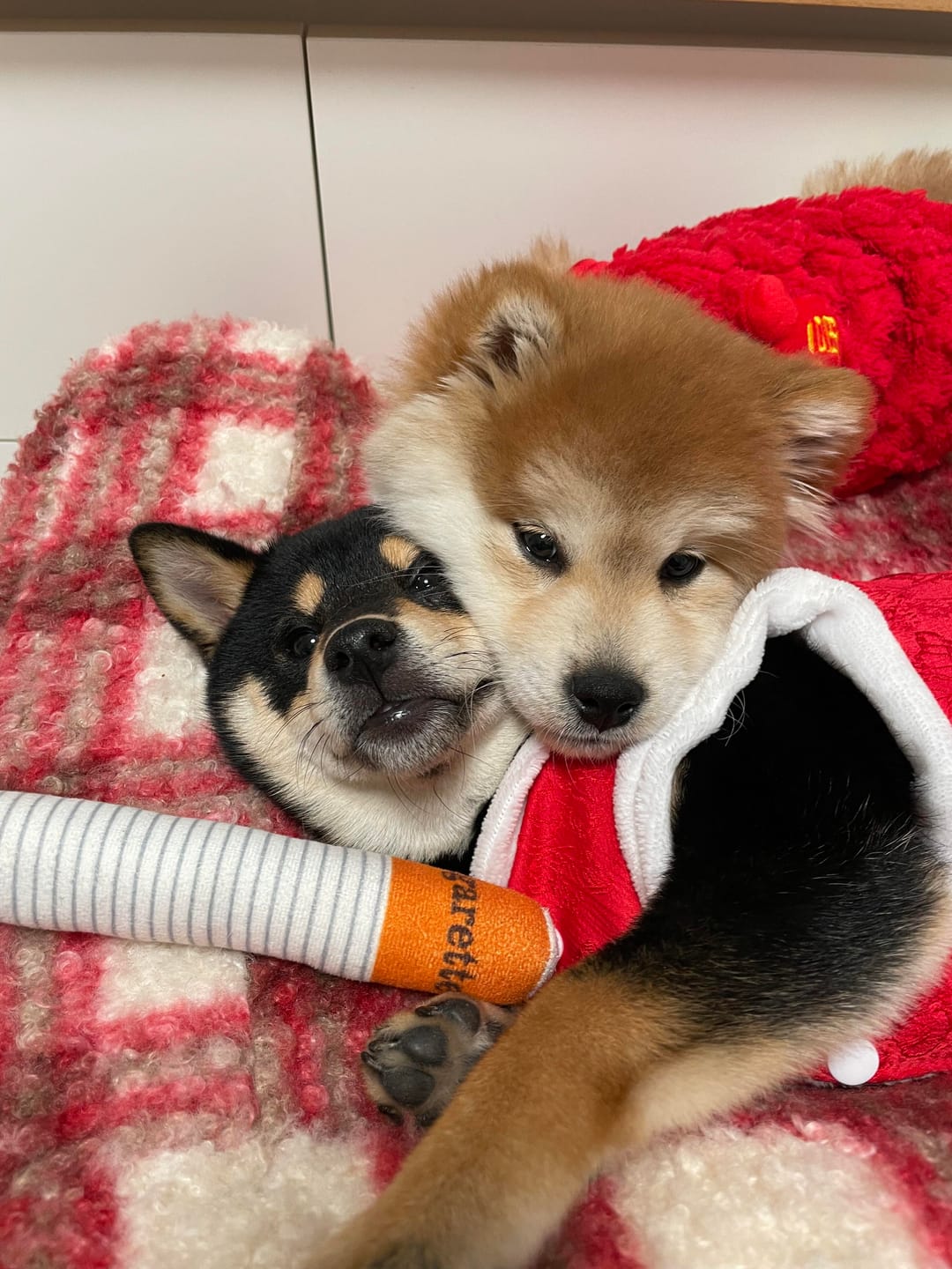 Customer photo review of Plush Cigarette Toy Set