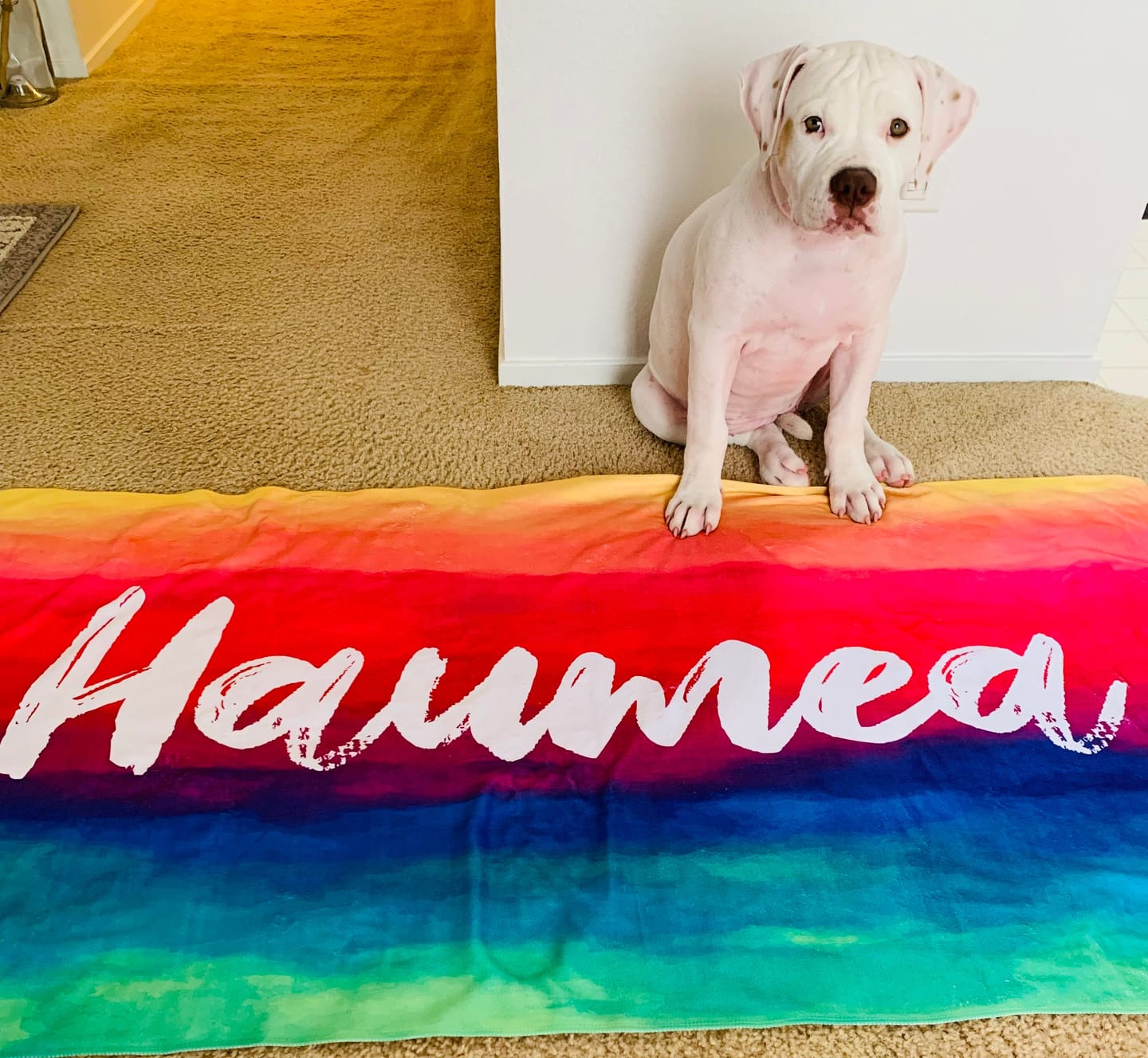 Customer photo review of Personalized Tie Dye Beach Towel: Custom Name Pool Towel