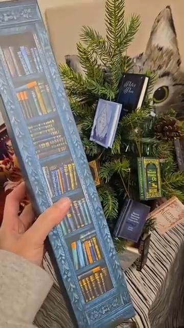 Customer photo review of Bookworm Advent Calendar™